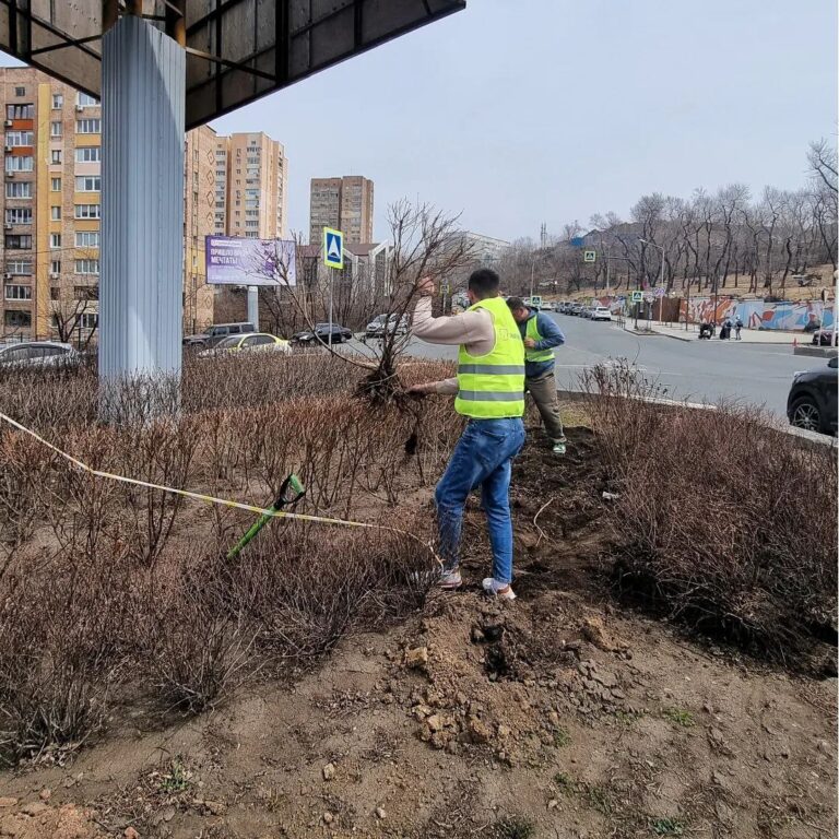 «Клумбы» — кольцо на улице Шилкинской.