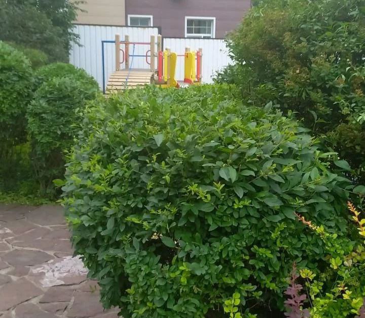 «У частного лица».